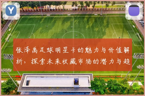张泽禹足球明星卡的魅力与价值解析，探索未来收藏市场的潜力与趋势