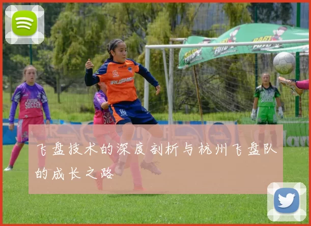 飞盘技术的深度剖析与杭州飞盘队的成长之路