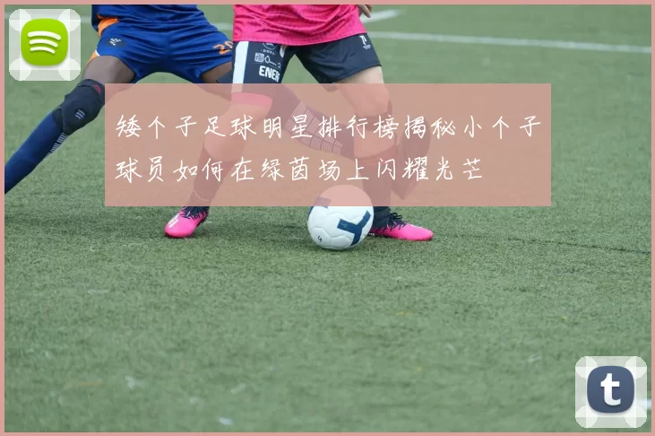 矮个子足球明星排行榜揭秘小个子球员如何在绿茵场上闪耀光芒