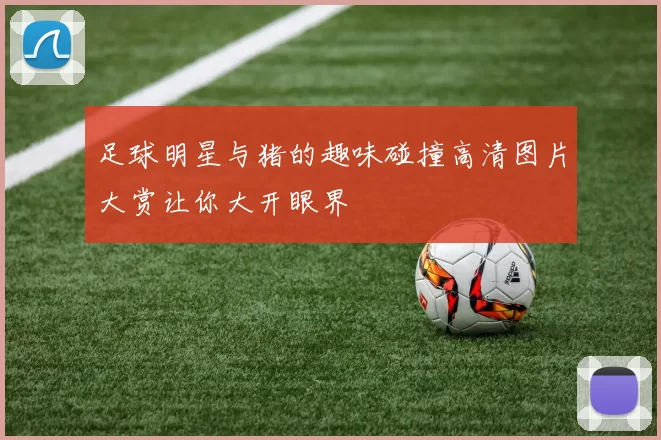 足球明星与猪的趣味碰撞高清图片大赏让你大开眼界
