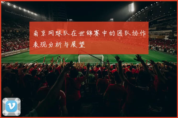 南京网球队在世锦赛中的团队协作表现分析与展望
