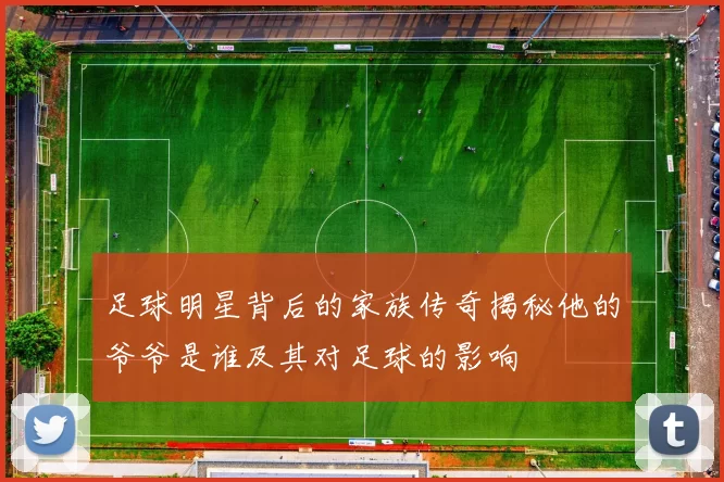 足球明星背后的家族传奇揭秘他的爷爷是谁及其对足球的影响