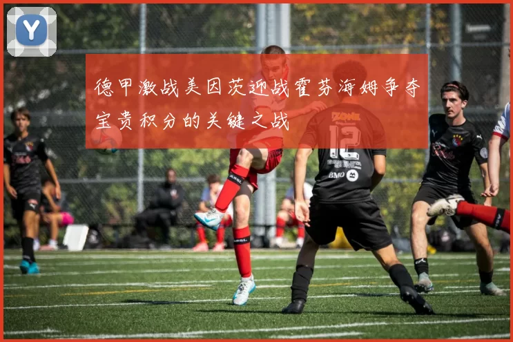 德甲激战美因茨迎战霍芬海姆争夺宝贵积分的关键之战