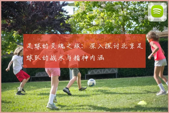 足球的灵魂之旅：深入探讨北京足球队的战术与精神内涵