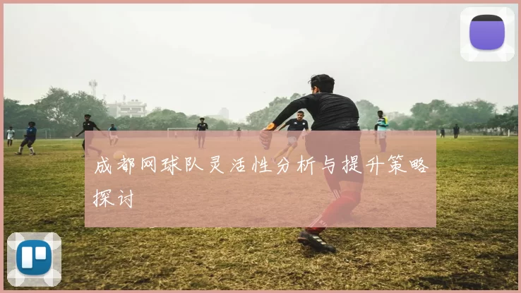 成都网球队灵活性分析与提升策略探讨