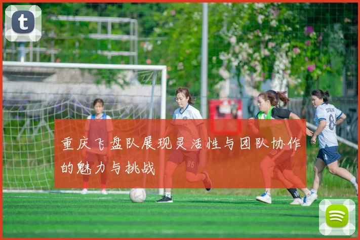 重庆飞盘队展现灵活性与团队协作的魅力与挑战