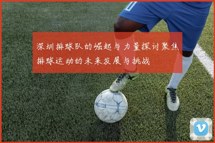 深圳排球队的崛起与力量探讨聚焦排球运动的未来发展与挑战