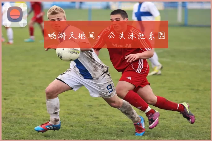 畅游天地间，公共泳池乐园