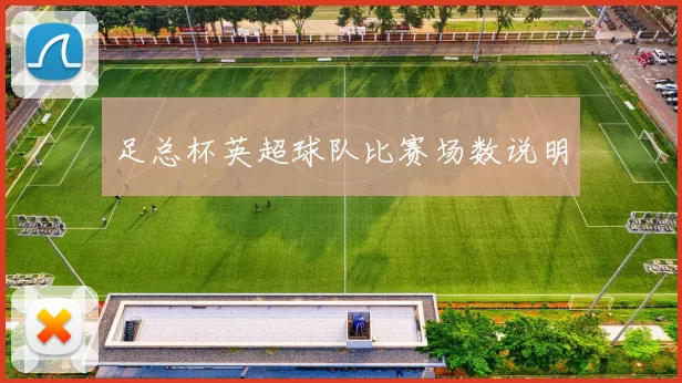 足总杯英超球队比赛场数说明