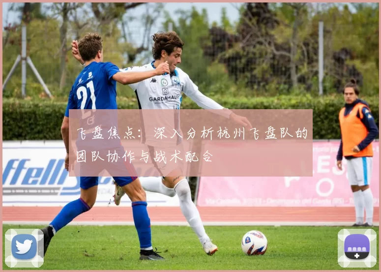 飞盘焦点：深入分析杭州飞盘队的团队协作与战术配合