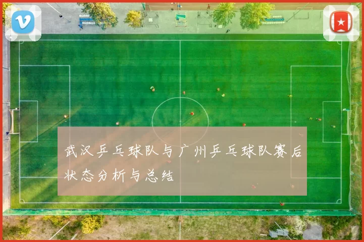 武汉乒乓球队与广州乒乓球队赛后状态分析与总结
