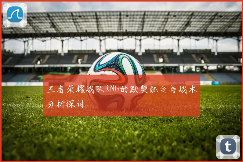 王者荣耀战队RNG的默契配合与战术分析探讨