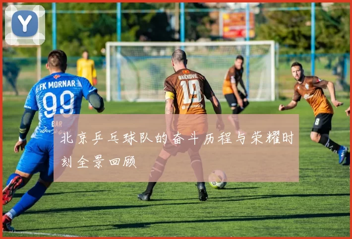 北京乒乓球队的奋斗历程与荣耀时刻全景回顾
