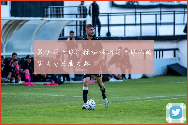 聚焦羽毛球：探秘杭州羽毛球队的实力与发展之路