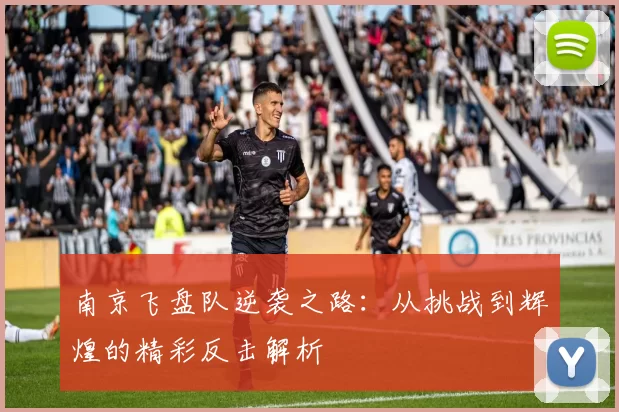 南京飞盘队逆袭之路：从挑战到辉煌的精彩反击解析
