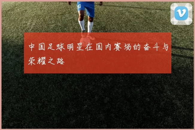 中国足球明星在国内赛场的奋斗与荣耀之路