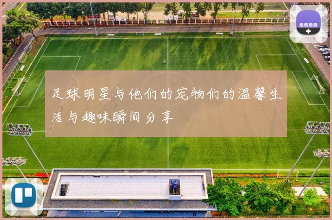 足球明星与他们的宠物们的温馨生活与趣味瞬间分享