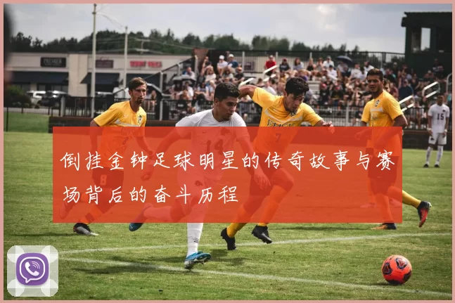 倒挂金钟足球明星的传奇故事与赛场背后的奋斗历程