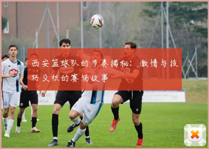 西安篮球队的节奏揭秘：激情与技巧交织的赛场故事