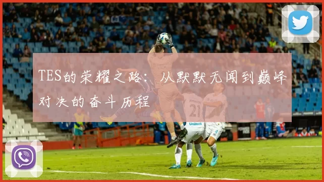 TES的荣耀之路：从默默无闻到巅峰对决的奋斗历程