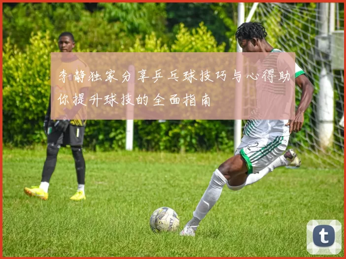 李静独家分享乒乓球技巧与心得助你提升球技的全面指南