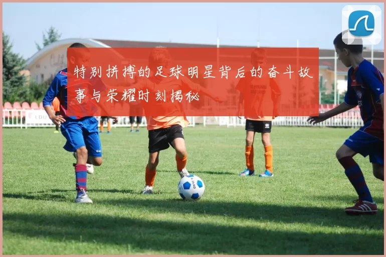 特别拼搏的足球明星背后的奋斗故事与荣耀时刻揭秘