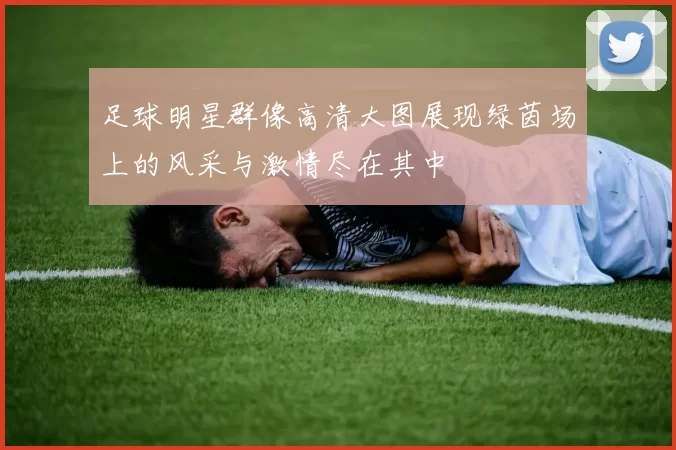 足球明星群像高清大图展现绿茵场上的风采与激情尽在其中