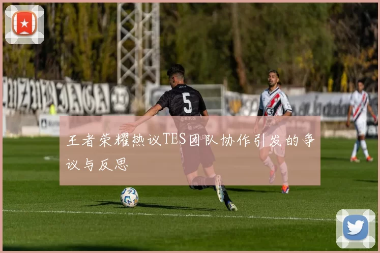 王者荣耀热议TES团队协作引发的争议与反思