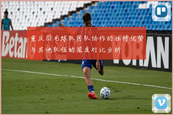 重庆羽毛球队团队协作的独特优势与其他队伍的深度对比分析