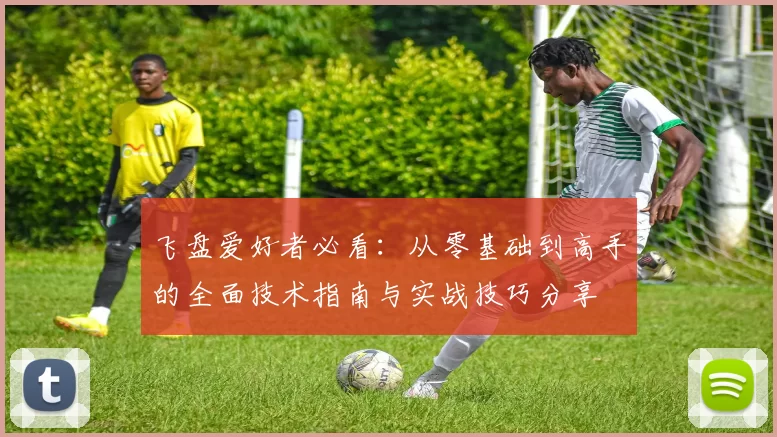 飞盘爱好者必看：从零基础到高手的全面技术指南与实战技巧分享