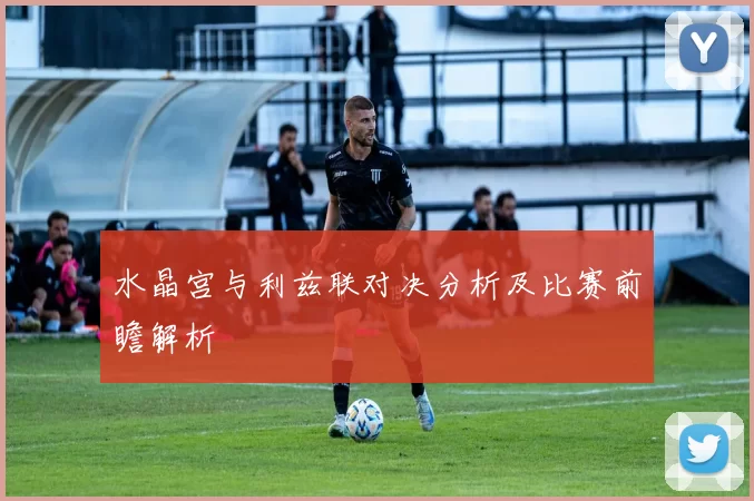 水晶宫与利兹联对决分析及比赛前瞻解析