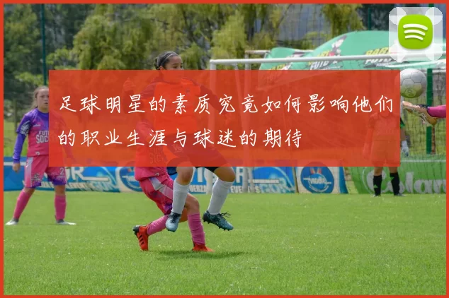 足球明星的素质究竟如何影响他们的职业生涯与球迷的期待