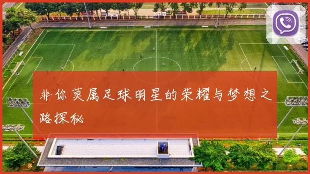 非你莫属足球明星的荣耀与梦想之路探秘