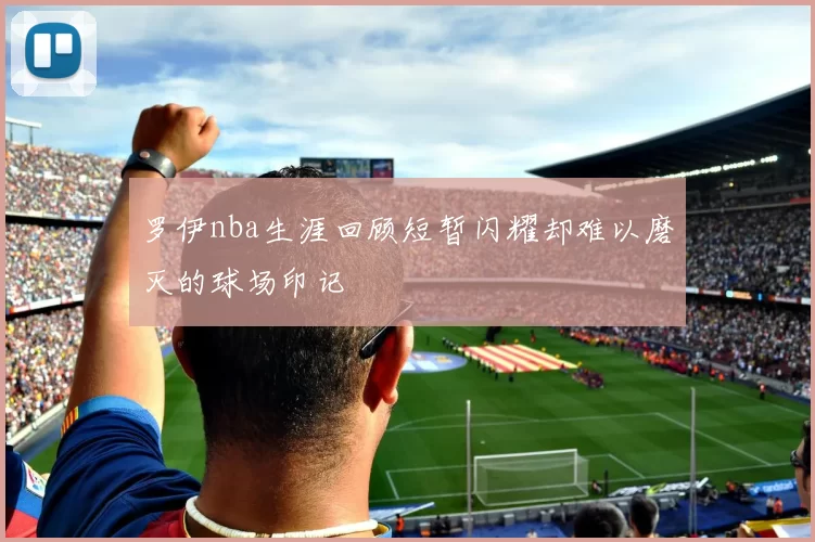 罗伊nba生涯回顾短暂闪耀却难以磨灭的球场印记