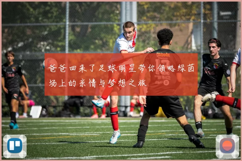 爸爸回来了足球明星带你领略绿茵场上的亲情与梦想之旅