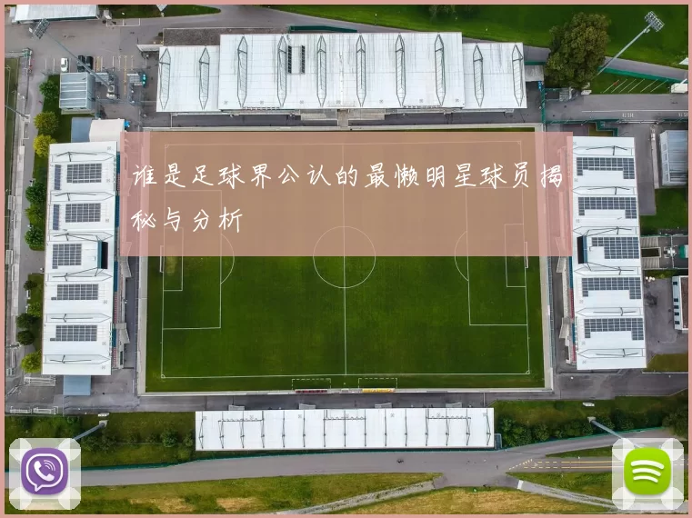 谁是足球界公认的最懒明星球员揭秘与分析