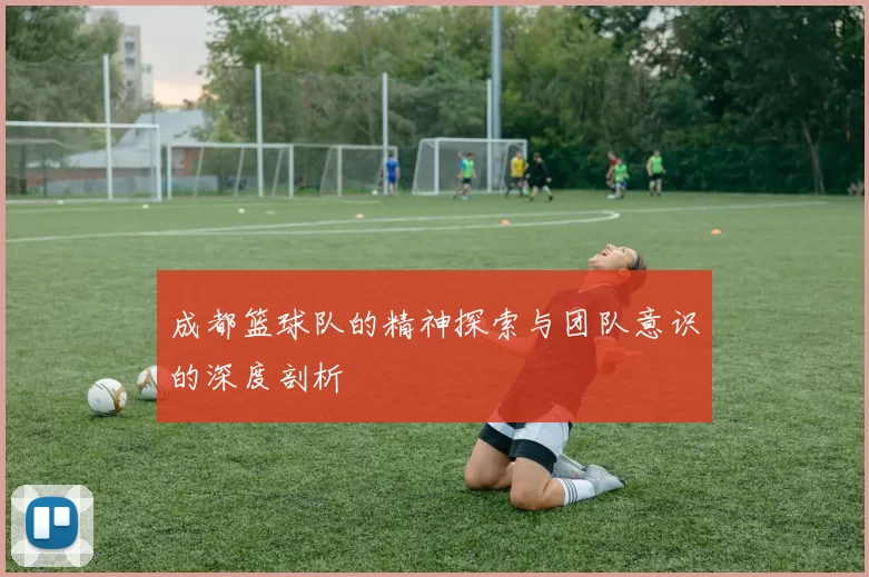 成都篮球队的精神探索与团队意识的深度剖析