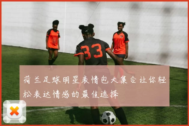 荷兰足球明星表情包大集合让你轻松表达情感的最佳选择