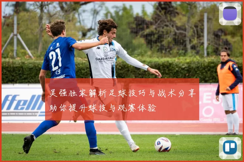 吴强独家解析足球技巧与战术分享助你提升球技与观赛体验