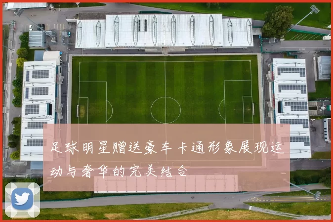 足球明星赠送豪车卡通形象展现运动与奢华的完美结合