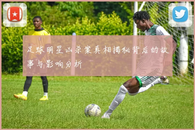 足球明星凶杀案真相揭秘背后的故事与影响分析