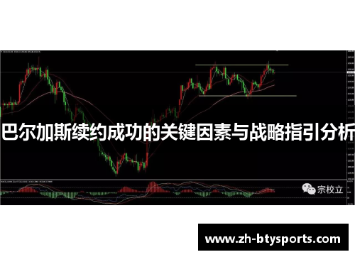 巴尔加斯续约成功的关键因素与战略指引分析
