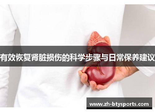 有效恢复肾脏损伤的科学步骤与日常保养建议