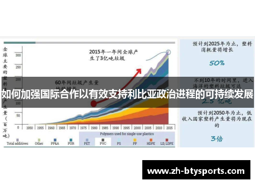 如何加强国际合作以有效支持利比亚政治进程的可持续发展