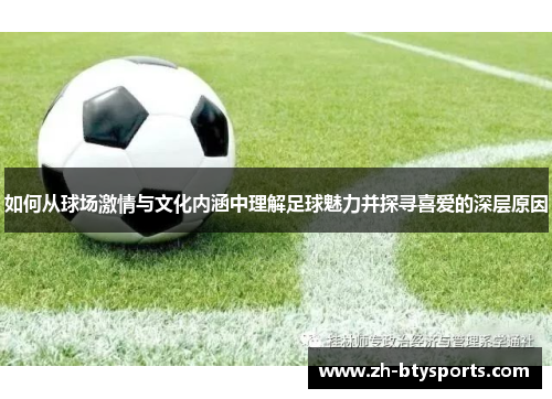 如何从球场激情与文化内涵中理解足球魅力并探寻喜爱的深层原因