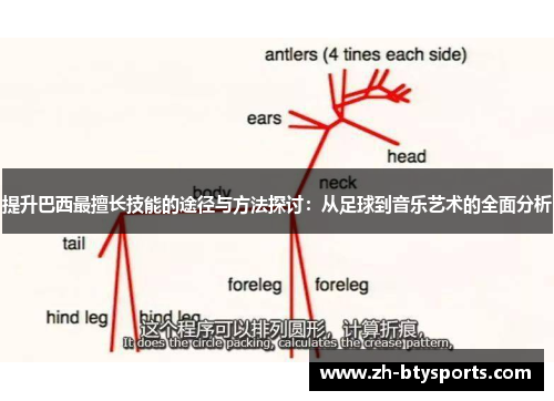 提升巴西最擅长技能的途径与方法探讨：从足球到音乐艺术的全面分析