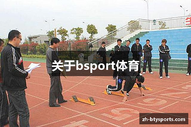 关于bsport体育